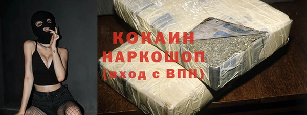 СК Новодвинск