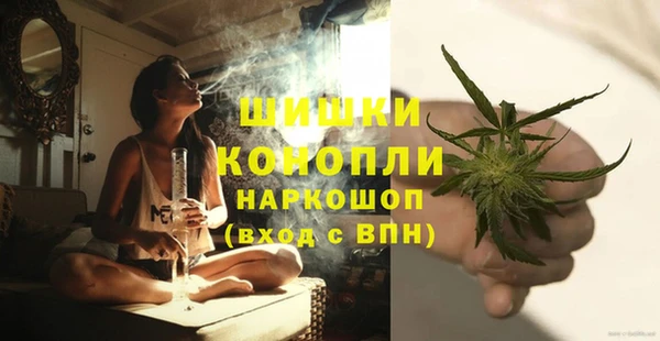 МДПВ Новозыбков