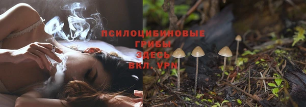 не бодяженный Няндома