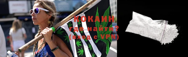 СК Новодвинск