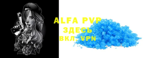 СК Новодвинск
