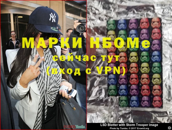 гидропоника Болотное