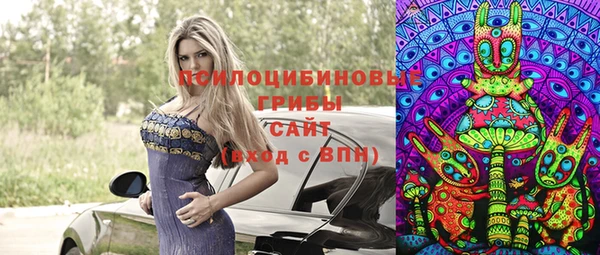 МДПВ Новозыбков