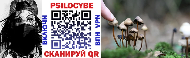 Галлюциногенные грибы прущие грибы  Новосиль 